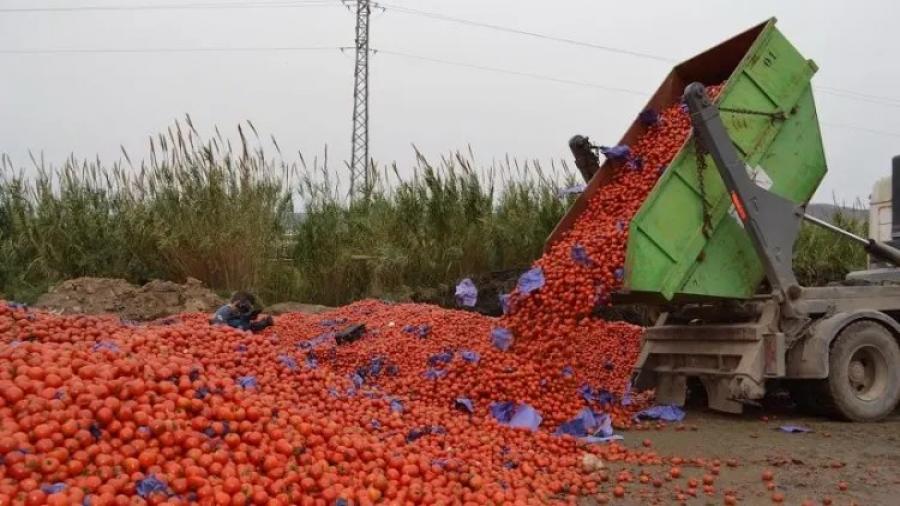 تقارير اعلامية فرنسية: إتلاف كميات ضخمة من الطماطم المغربية بالأسواق الفرنسية